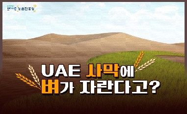 [농촌진흥청] UAE 사막에 벼가 자란다고?(적극행정 중점과제) 