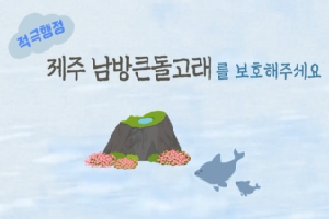 [해양수산부] 우리가 보호해야 할 남방큰돌고래 이야기 