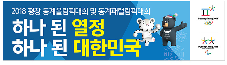 2018 평창 동계올림픽대회 및 동계패럴림픽 대회 하나된 열정 하나된 대한민국