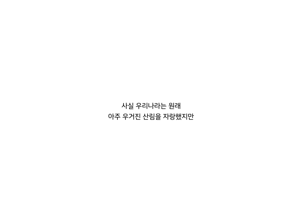 웹툰 40페이지 중 11페이지
