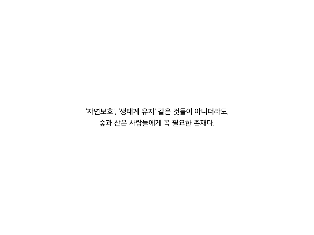 웹툰 40페이지 중 24페이지