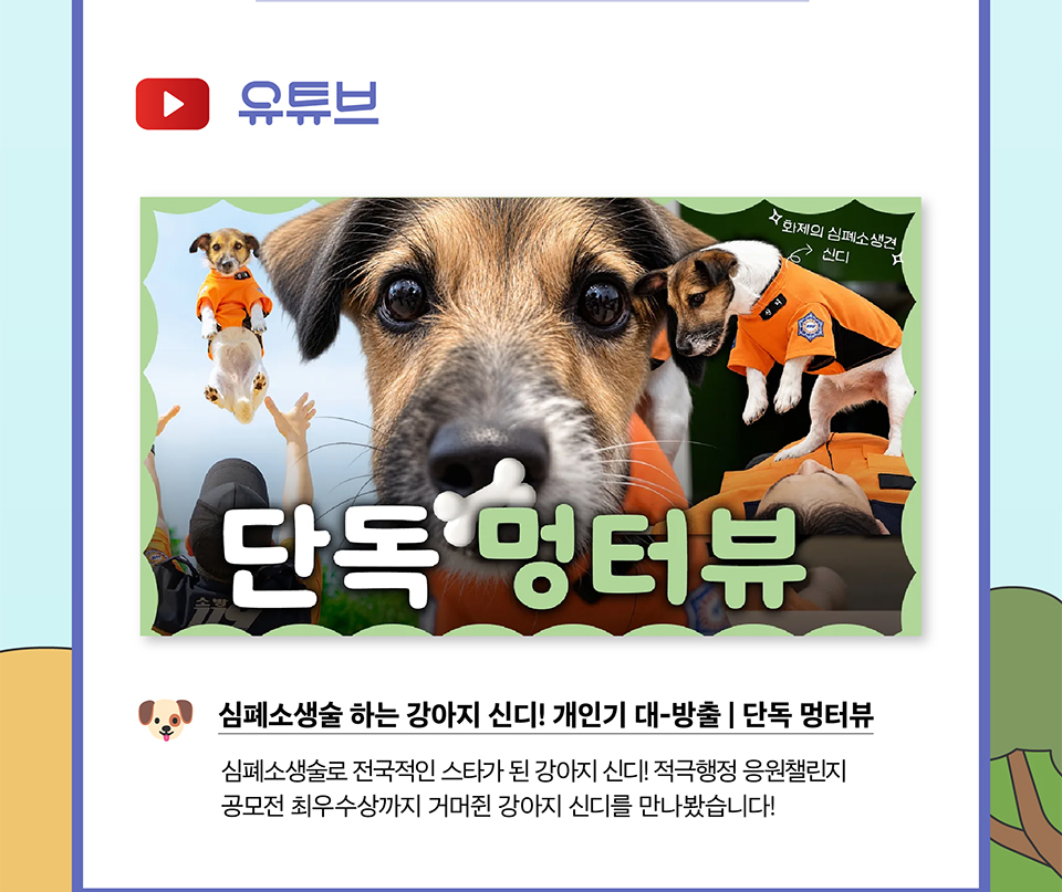 유튜브
심폐소생술 하는 강아지 신디! 개인기 대-방출 (상세내용은 하단참조)
