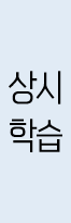 상시 학습