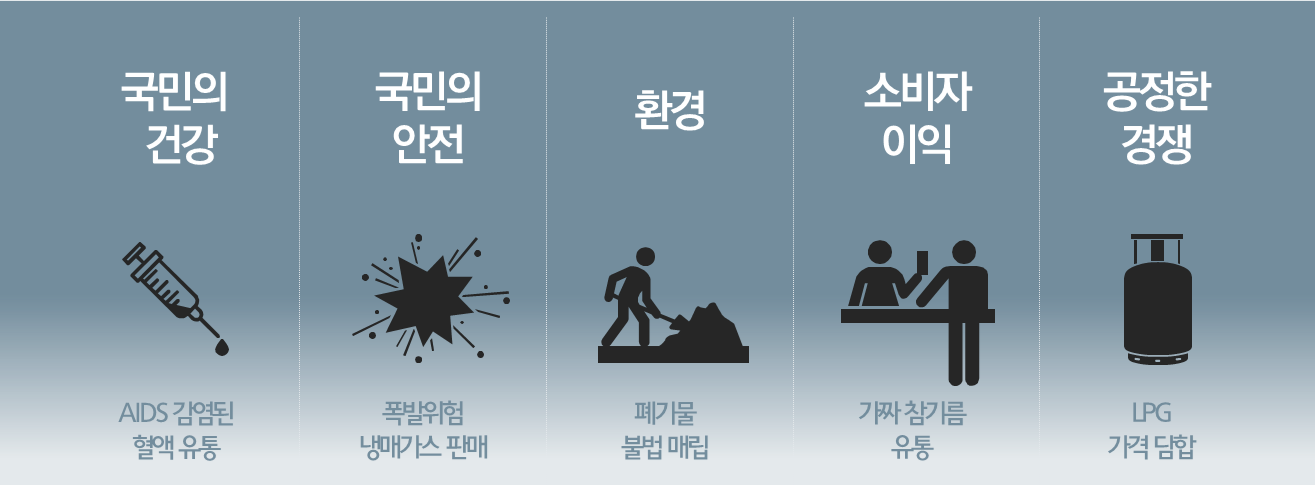 국민의 건강(AIDS 감염된 혈액 유통), 국민의 안전(폭발위험 냉매가스 판매), 환경(폐기물 불법 매립), 소비자 이익(가짜 참기름 유통), 공정한 경쟁(LPG 가격 단합)